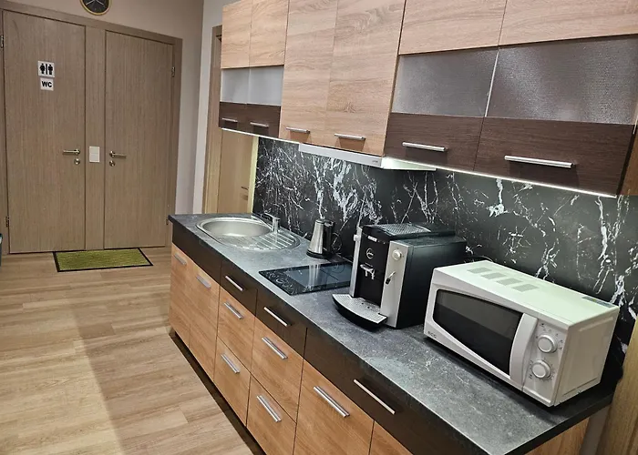 בית הארחה Kauno Apartamentai Su Balkonu